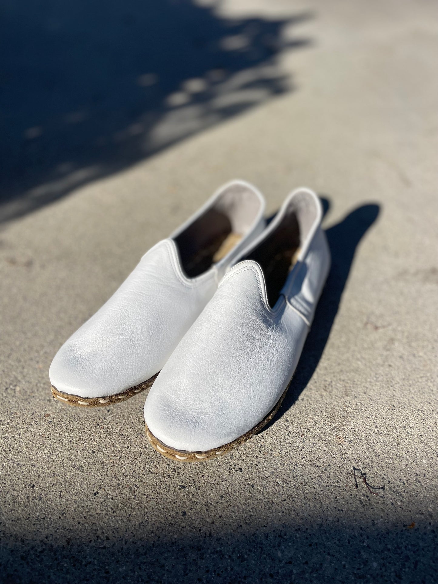 Snowwhite Grounding Shoes